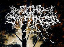 logo Echo Of Emptiness